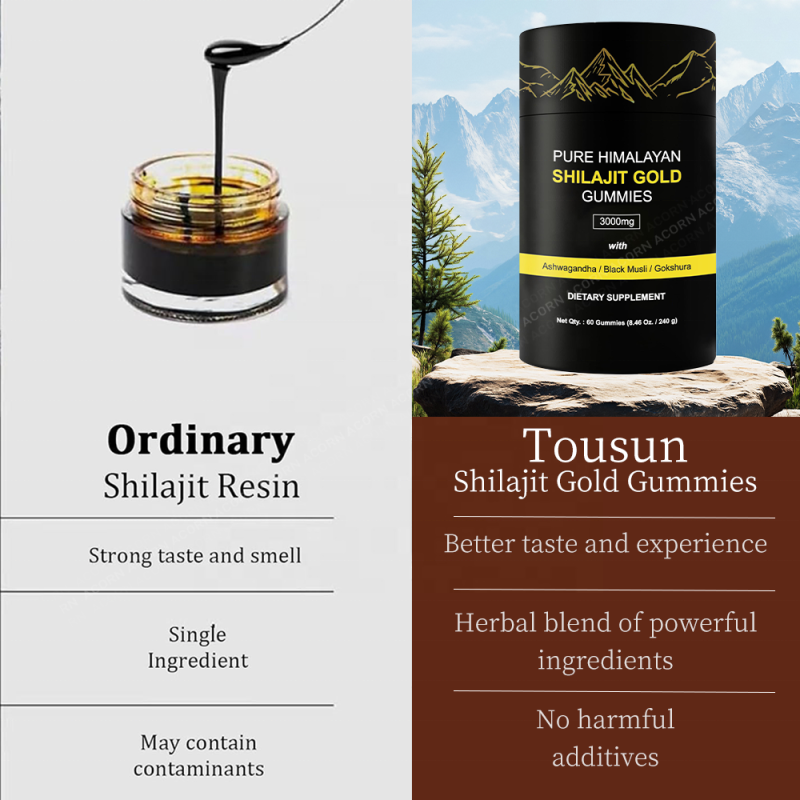 ACORN Shilajit Extract Supplements Gummy Energy Support Immune OEM Gummies Shilajit Gummies for Adult