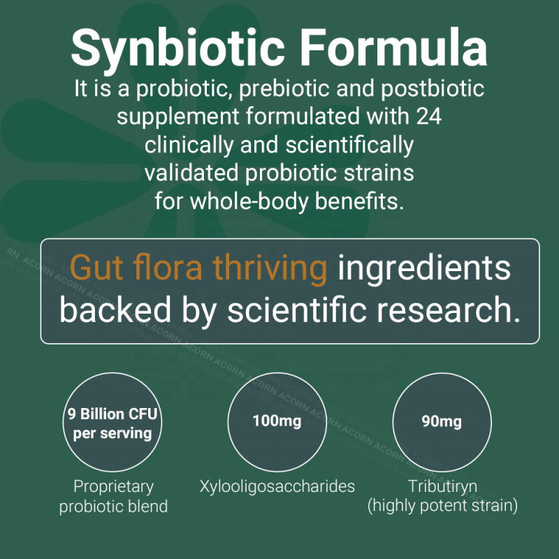 ACORN Probiotics Supplements Prebiotic Postbiotic Support Digestive System Gut Health Probiotic Capsules