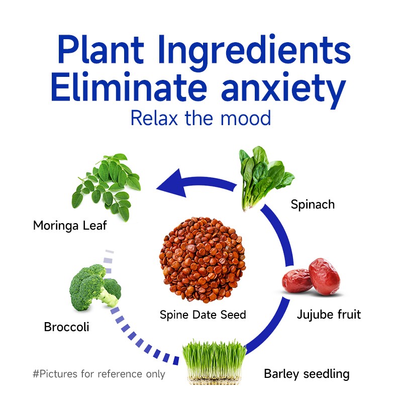 ACORN OEM Private Label Health Supplement GABA Capsules Gamma Aminobutyric Acid Drink for Calm Sleep Relaxation