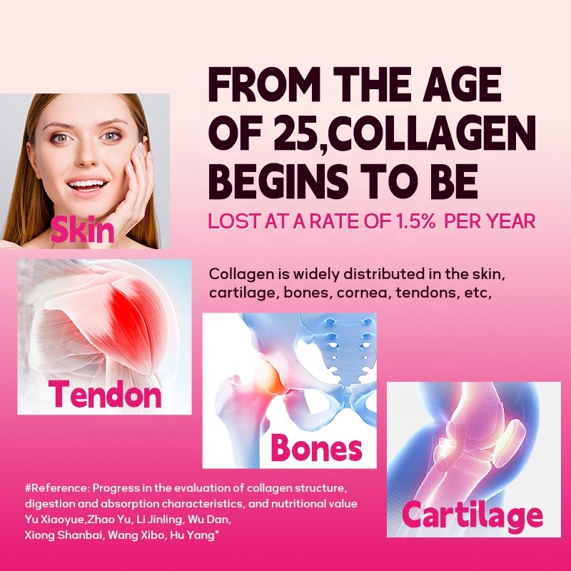 ACORN Customized Private Labels Proteins Collagen Peptides Powder Sachet Hyaluronic Acid VC Solid Drink Collagen Powder