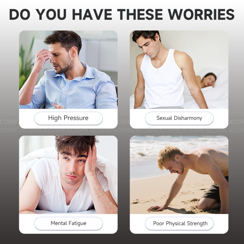 ACORN OEM ODM Energy Support Shilajit Supplement Manufacturer Naturel Shilajit Pur Tablets