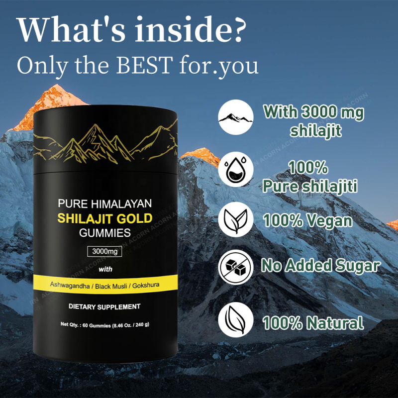 ACORN Shilajit Extract Supplements Gummy Energy Support Immune OEM Gummies Shilajit Gummies for Adult