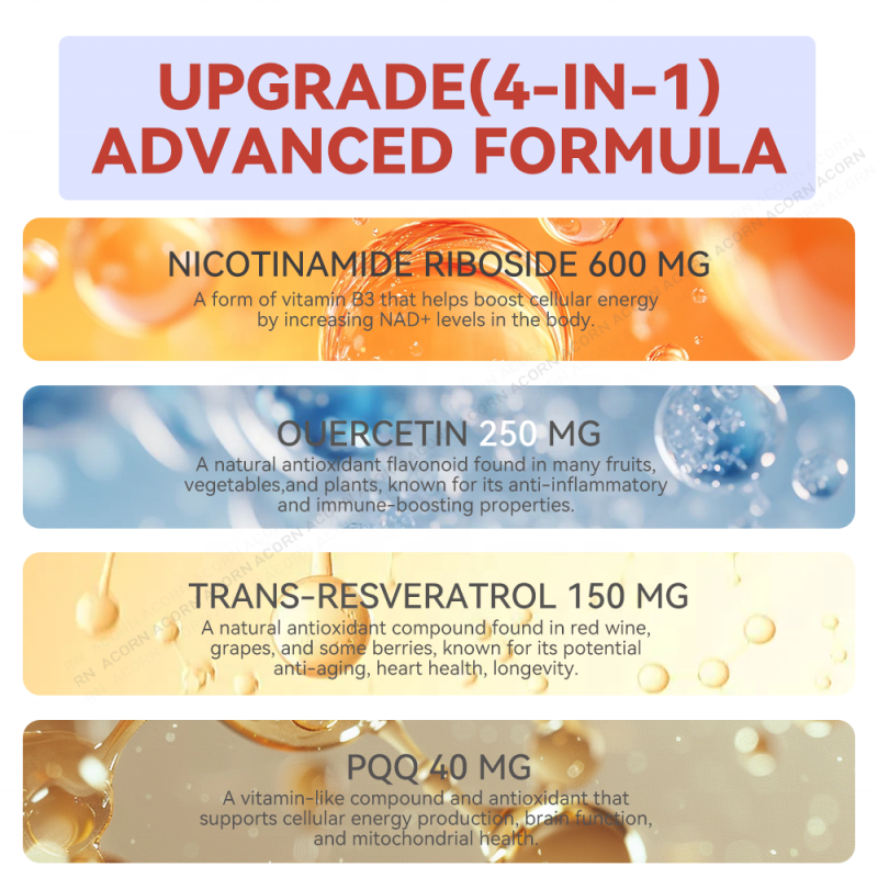 ACORN Private Label NAD Supplements Beverage Energy Support Berry Flavor NAD+ 1000mg Nicotinamide Drink for Adult