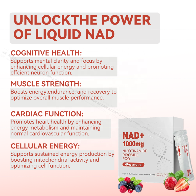 ACORN Private Label NAD Supplements Beverage Energy Support Berry Flavor NAD+ 1000mg Nicotinamide Drink for Adult