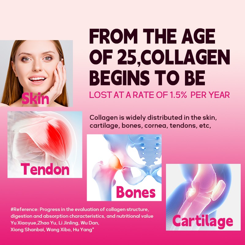 ACORN Collagen Powder Collagen Powder for Skin Whitening Collagen Powder Sachet