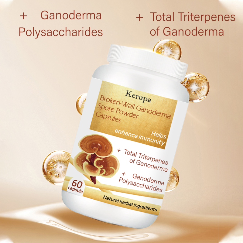 Ganoderma Powder Factory - OEM 98 Percent Broken Wall