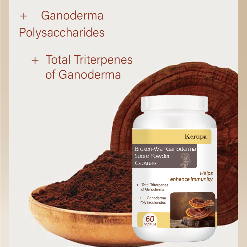 Ganoderma Powder Factory - OEM Small Molecule Ratio