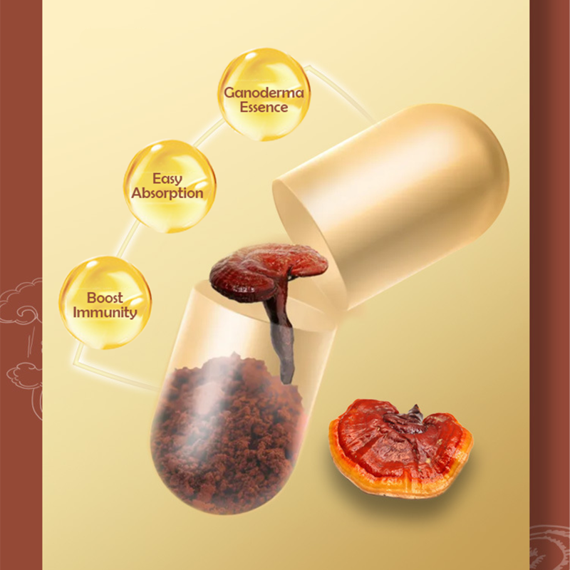 Ganoderma Spore Powder Manufacturer - OEM Broken Wall Immune