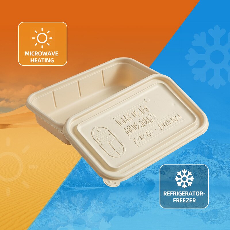 Eco-friendly Lunch Box Factory - OEM Customized Square Degradable Salad Box
