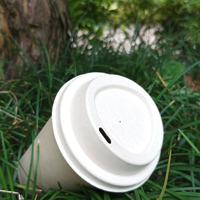 Hotel Paper Cup Manufacturer - OEM 100% Eco-Friendly Biodegradable with Lid