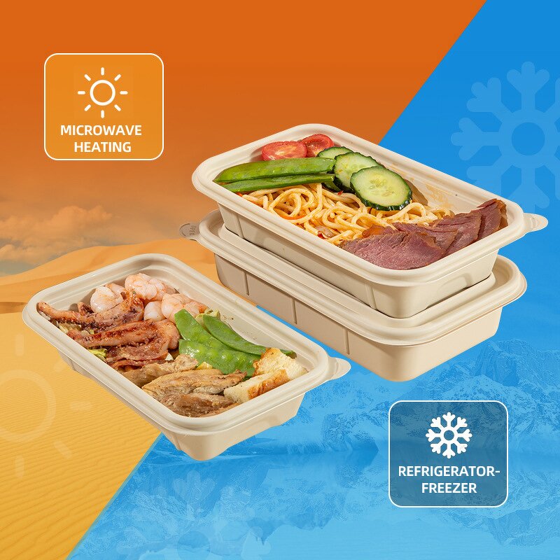 Disposable Lunch Box Supplier - OEM Wholesale Thickened Rectangular Degradable