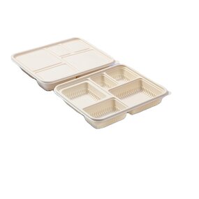 Corn Starch Lunch Box Manufacturer - OEM Customized Degradable Multi Grid Packaging
