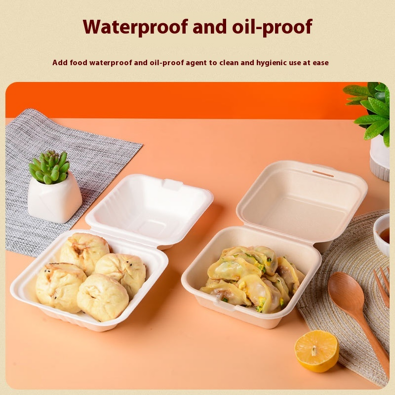 Biodegradable Lunch Boxes Manufacturer - OEM Wholesale Takeaway Set Kraft Pulp Boxes
