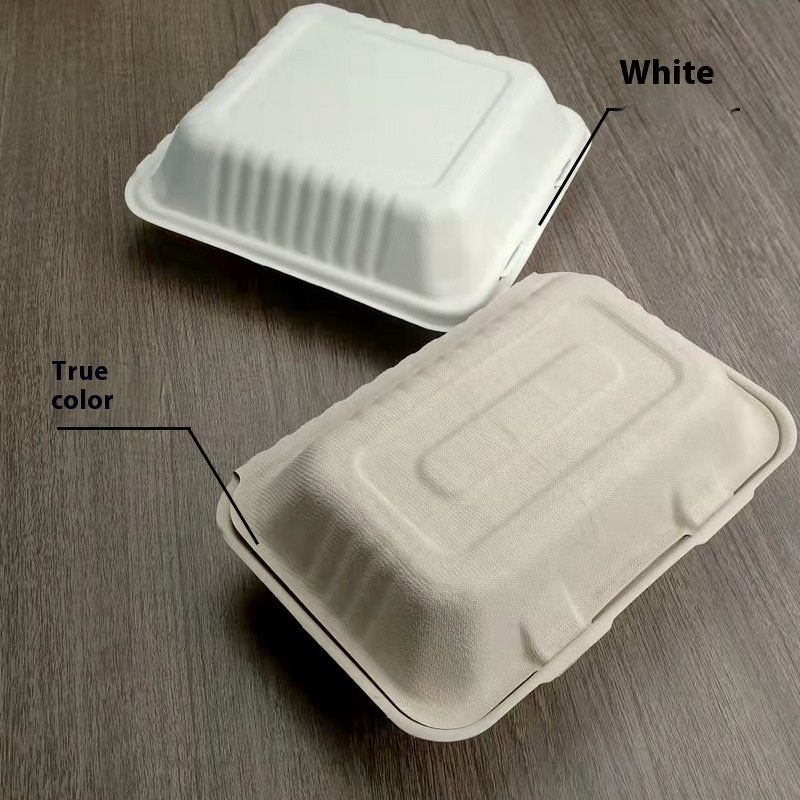 Foldable Bento Box Factory - OEM Disposable Biodegradable Elegant American Style