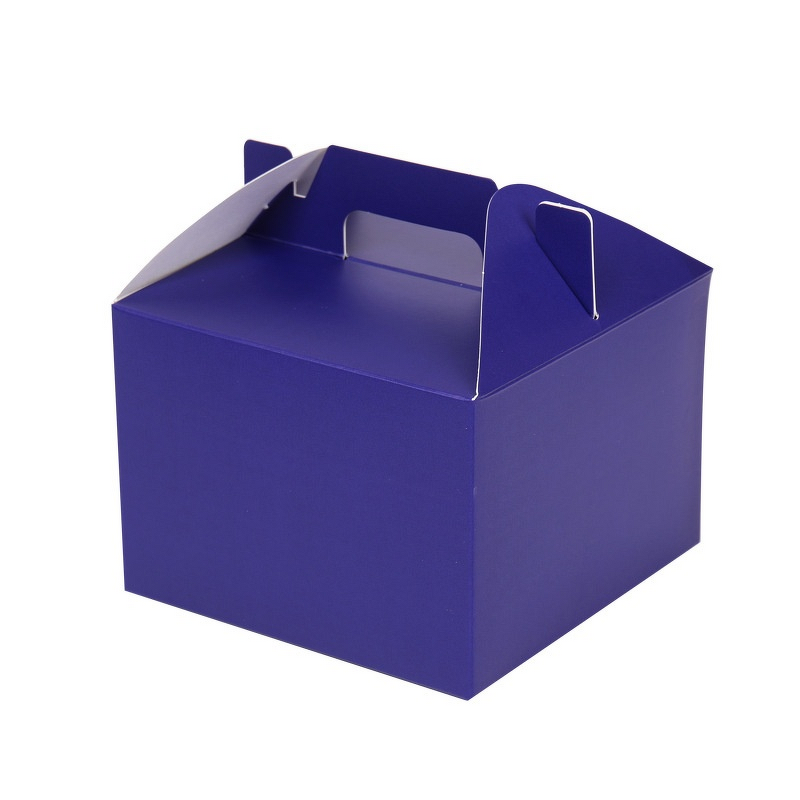 Plastic Cake Box Supplier - OEM Portable Disposable 4-Inch Square Recyclable