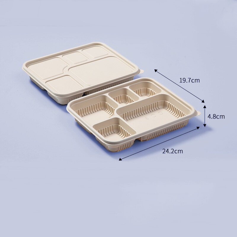 Corn Starch Lunch Box Manufacturer - OEM Customized Degradable Multi Grid Packaging