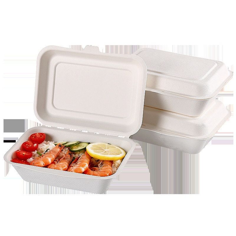 Foldable Bento Box Factory - OEM Disposable Biodegradable Elegant American Style
