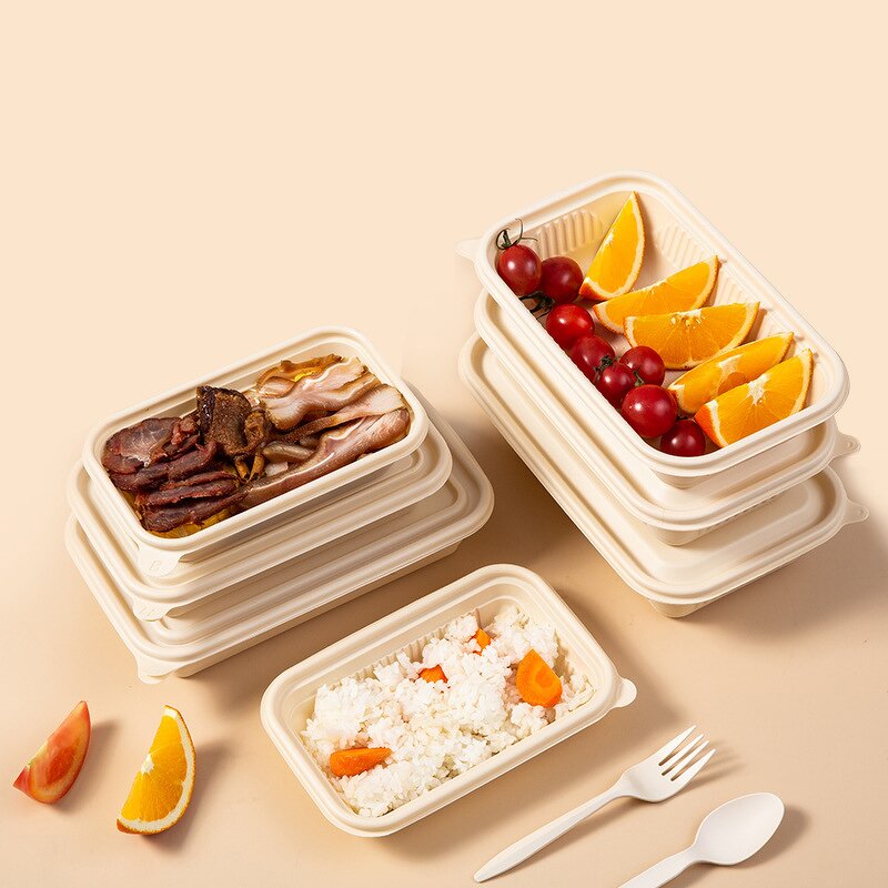 Disposable Lunch Box Supplier - OEM Wholesale Thickened Rectangular Degradable