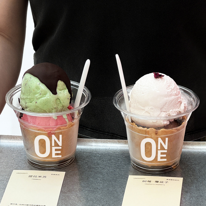 Double-Skin PP Cup Manufacturer - OEM 250ml 95mm Logo Printed for Ice Cream