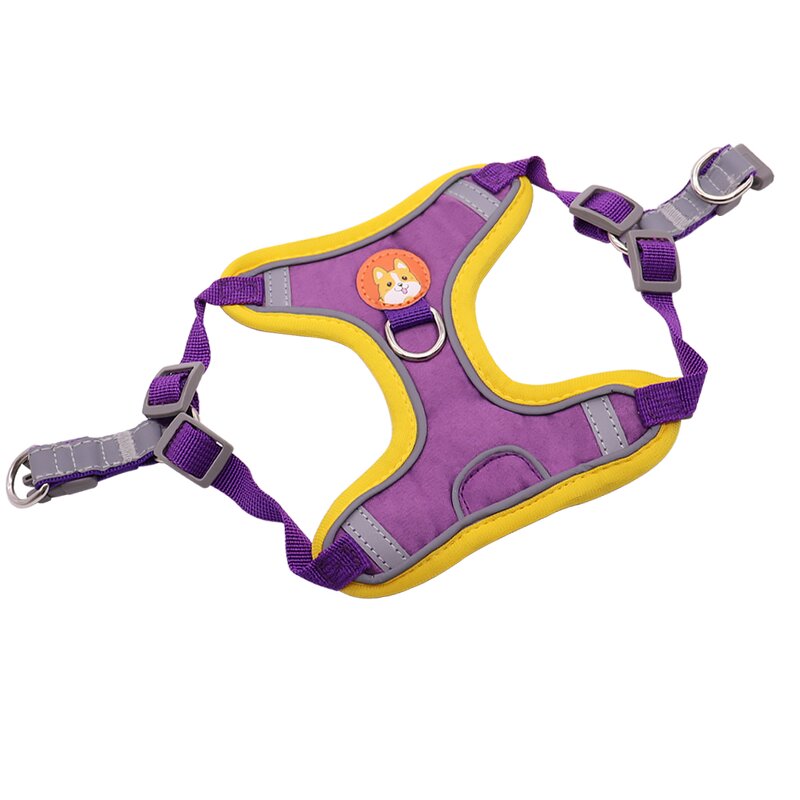 Pet Dog Harness Factory - OEM ODM New Style No-Choke Step-in