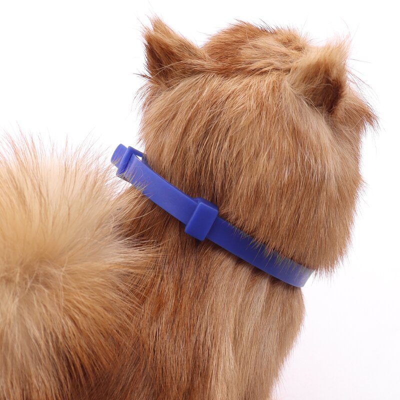 Pet Flea Collar Manufacturer - OEM Factory Price 8 Months Protection
