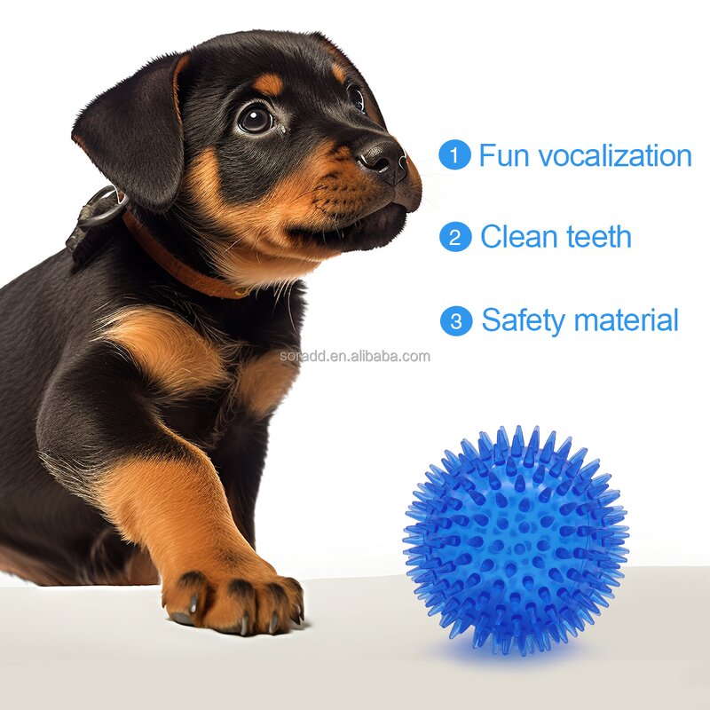 Dog Chew Toy Factory - OEM Durable BPA Free Non-Toxic Squeaky