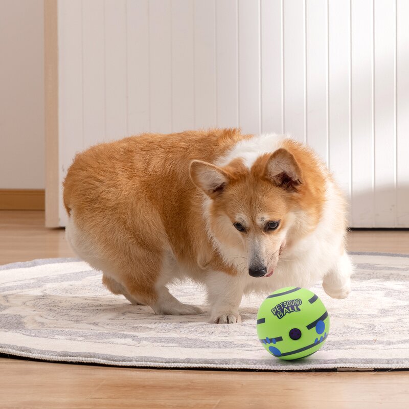 Pet Sound Ball Manufacturer - OEM Interactive Plastic Giggle Rolling