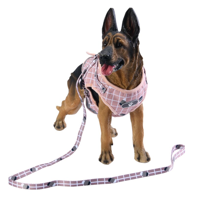 Dog Vest Harness Manufacturer - OEM Factory Wholesale Step-in