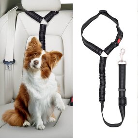 Pet Seatbelt Leash Factory - OEM Factory Wholesale Retractable