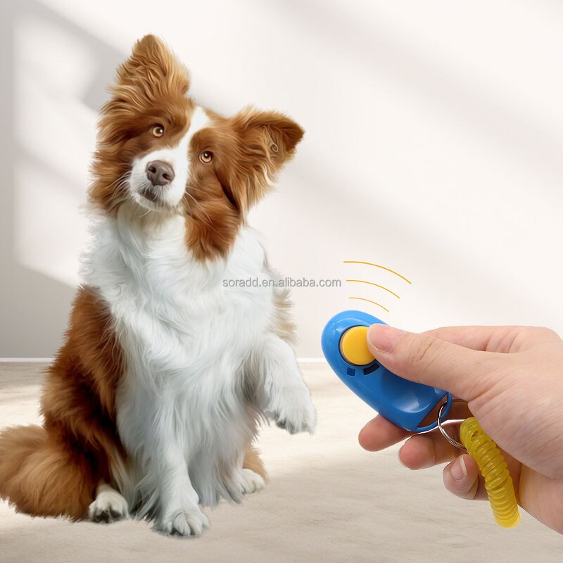 Pet Clicker Training Tool Factory - OEM Multicolor Wrist Band