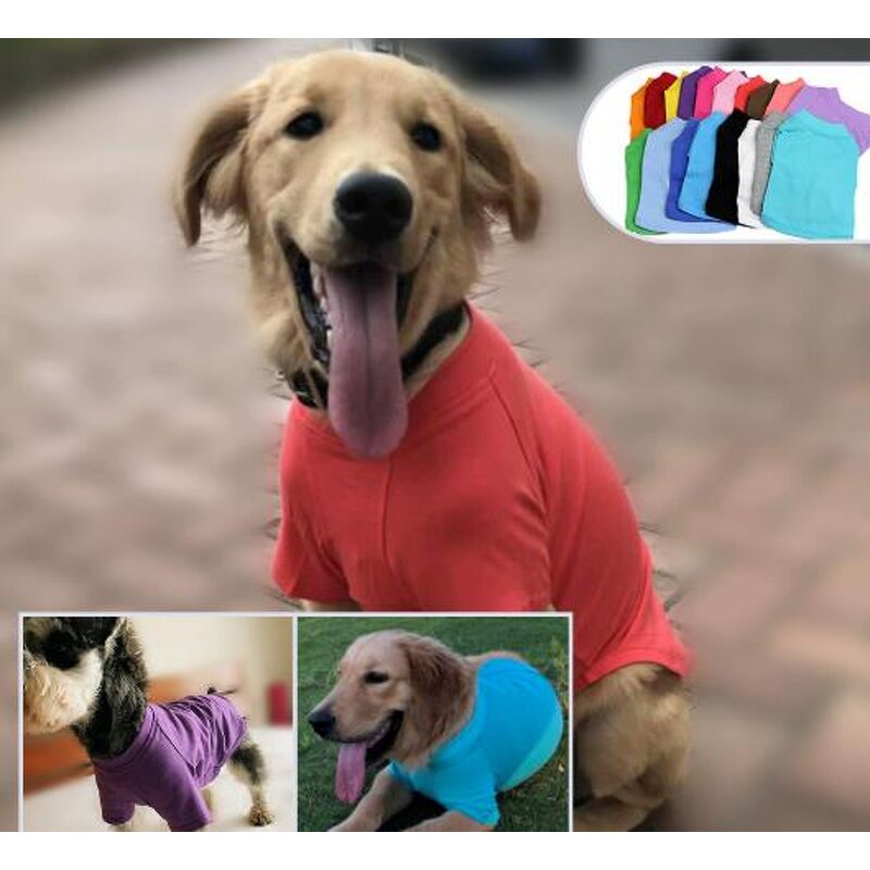 French Bulldog T-shirt Manufacturer - OEM Designer Luxury Cotton