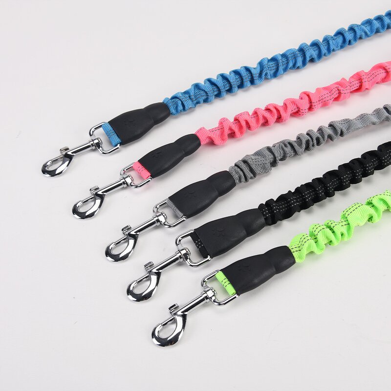Dog Training Leash Manufacturer - OEM Factory Heavy Duty Elastic
