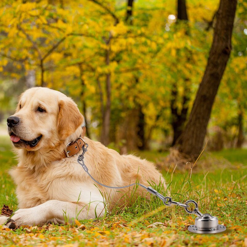 Dog Tie Out Stake Manufacturer - OEM Factory Custom Heavy Duty