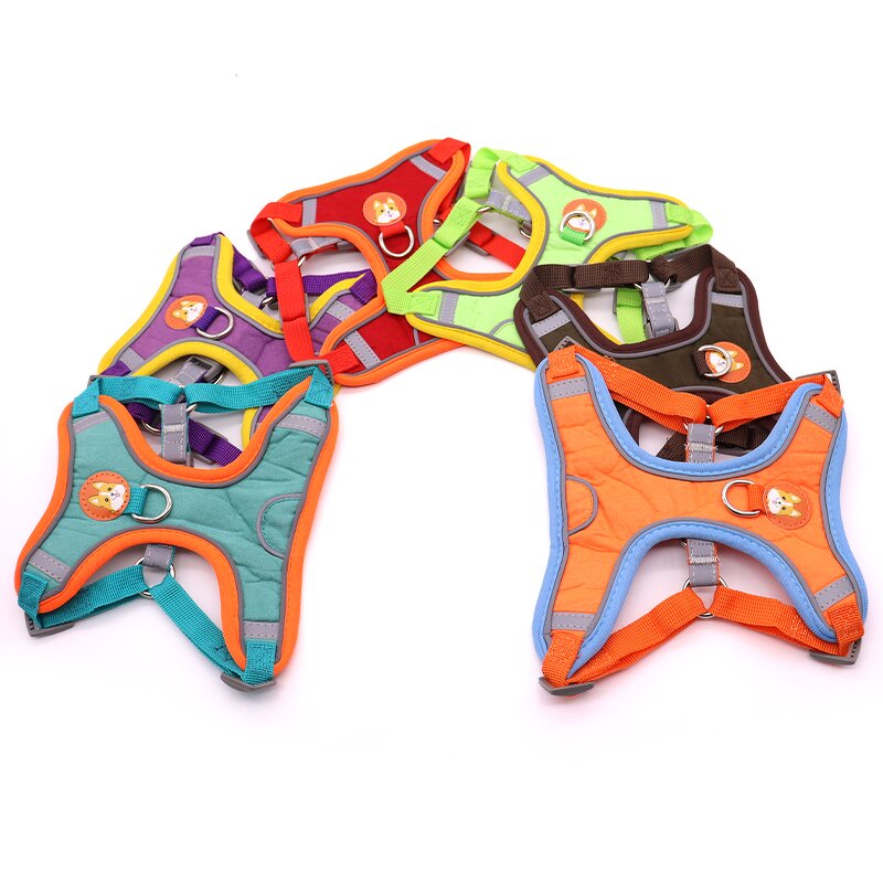 Pet Dog Harness Factory - OEM ODM New Style No-Choke Step-in