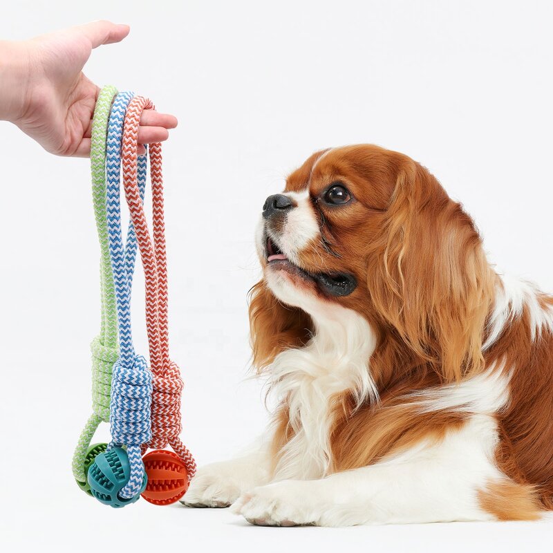 Dog Chew Toys Factory - OEM Durable Rubber Ball Rope Interactive