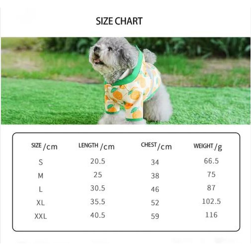 Dog Raincoat Manufacturer - OEM Luxury Summer Fruit Design