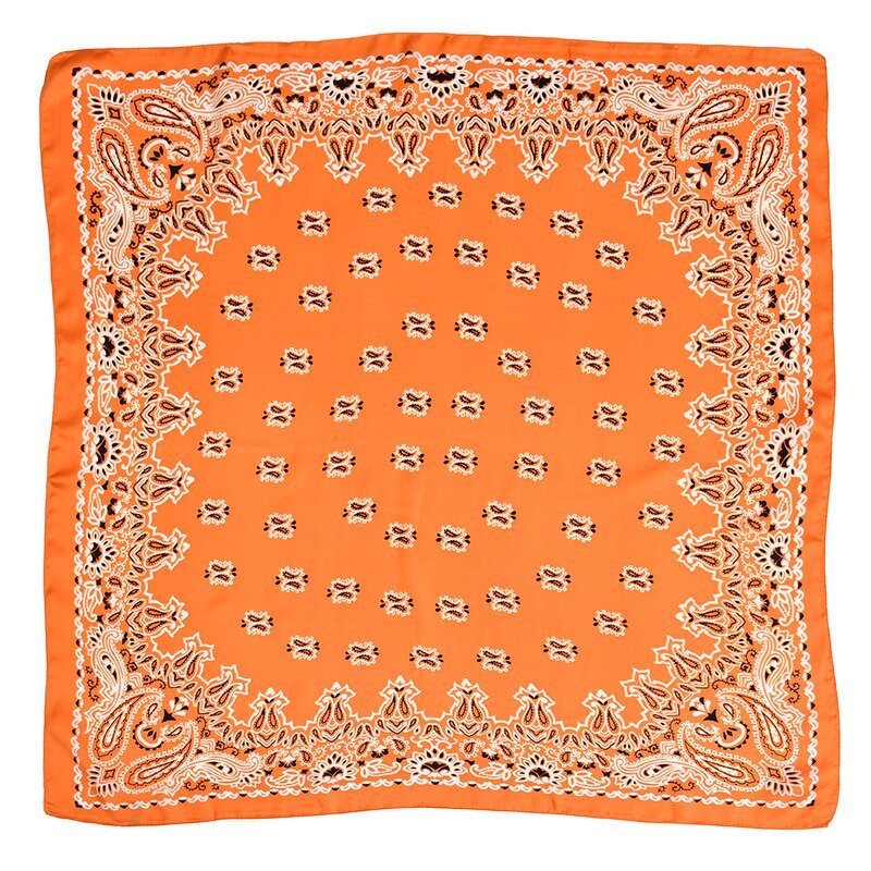 Silk Bandana Supplier - OEM Wholesale Paisley Print Beach Scarves
