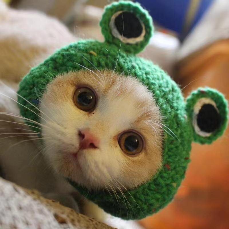 Pet Hat Factory - OEM Character Acrylic Crocheted Funny Cat Dog Hat