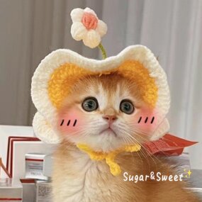Cat Hat Supplier - OEM Cute Flower Handmade Funny Pet Headwear