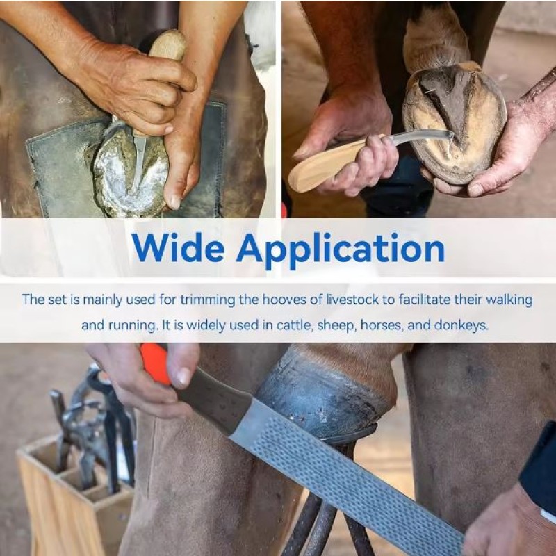 Farrier Instrument Factory - OEM Stainless Steel Kits