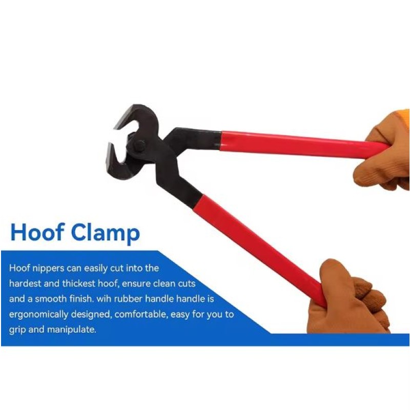 Farrier Instrument Factory - OEM Stainless Steel Kits