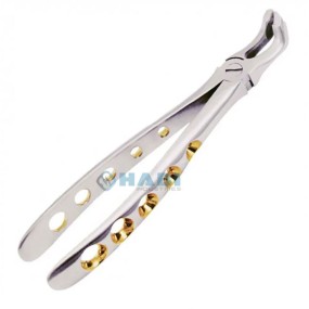 Dental Instruments Manufacturer - OEM Custom Made Forceps