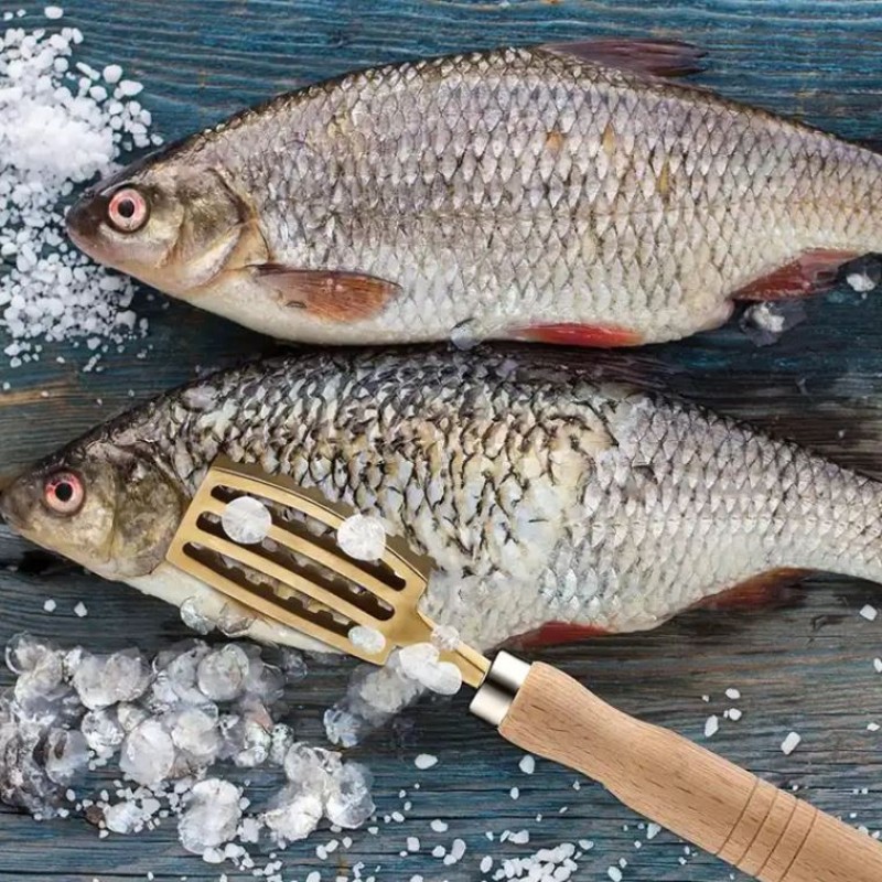 Fish Scale Scraper Factory - OEM Brass Wood Handle Tool