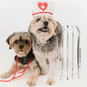 Teeth Cleaning Kit Factory - Manual Dental Scraper Remover