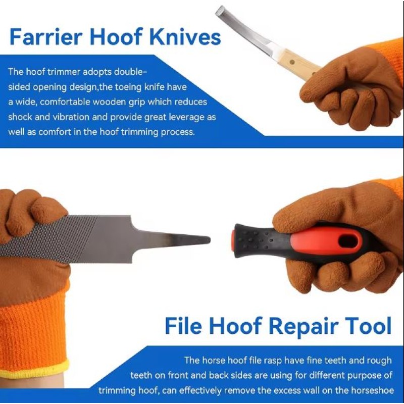 Farrier Instrument Factory - OEM Stainless Steel Kits