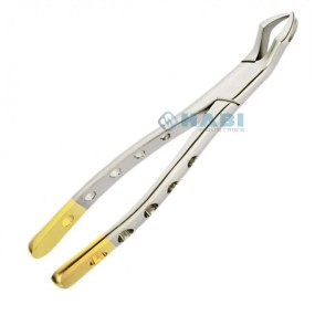 Tooth Extraction Forceps Manufacturer - OEM American Pattern