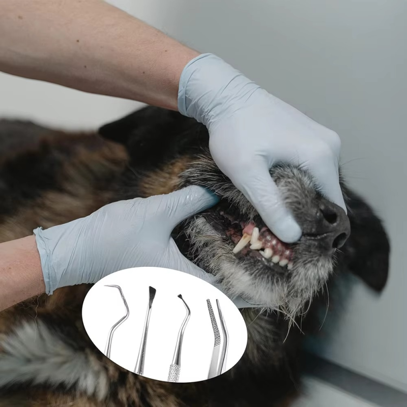 Teeth Cleaning Kit Factory - Manual Dental Scraper Remover