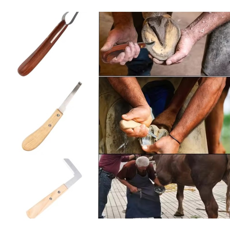 Horse Care Instrument Manufacturer - OEM Adjustable Rasp Files