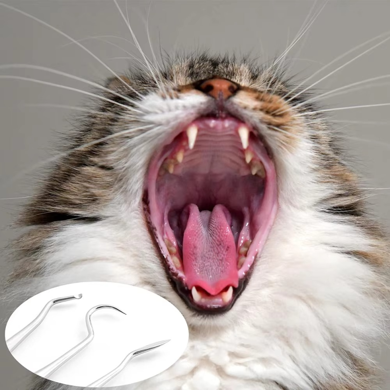 Teeth Cleaning Kit Factory - Manual Dental Scraper Remover