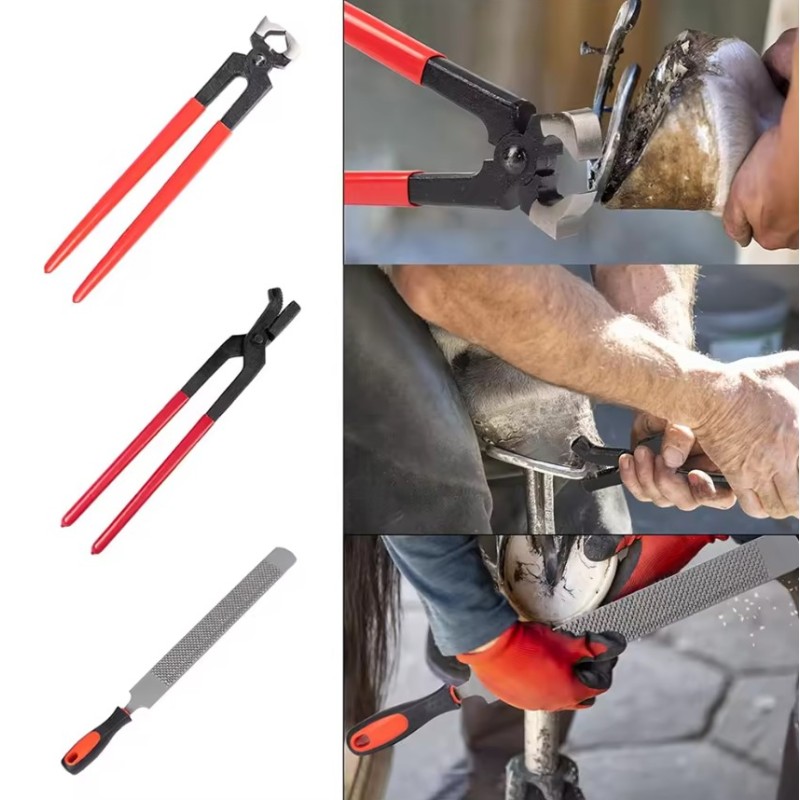 Horse Care Instrument Manufacturer - OEM Adjustable Rasp Files